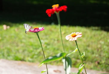 Similar image 21779319