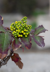 Similar image 21779320