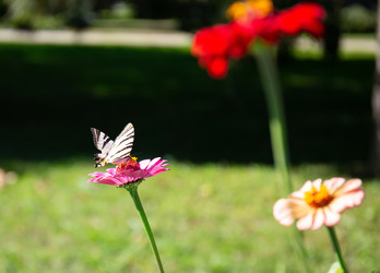 Similar image 21779321