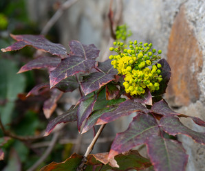 Similar image 21779322