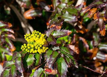 Similar image 21779325