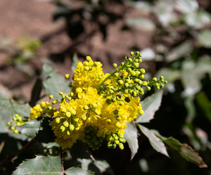 Similar image 21779327