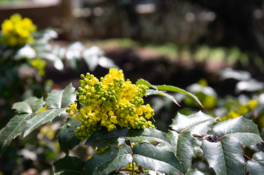 Similar image 21779329