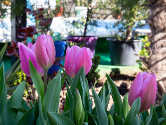 Similar image 21779437