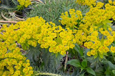 Similar image 21779439