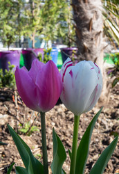 Similar image 21779445