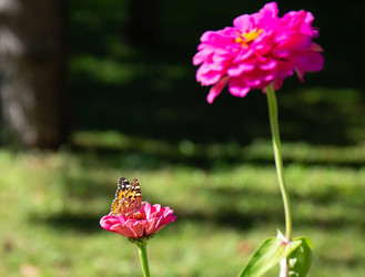 Similar image 21779484