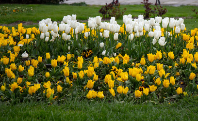 Similar image 21779490