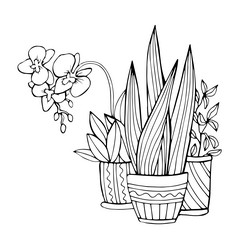 Similar image 21780303