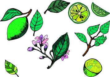 Similar image 21780747