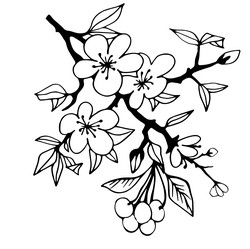 Similar image 21780309