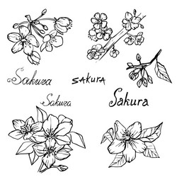 Similar image 21780315