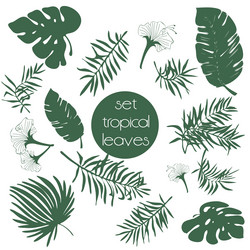 Similar image 21780770