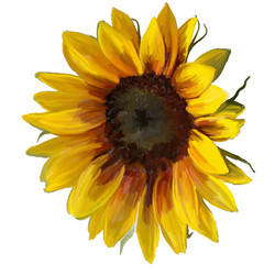 Similar image 21780320