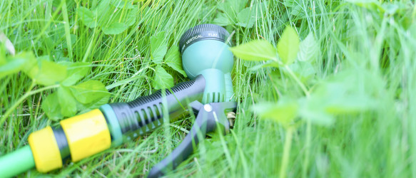 Similar image 21782303