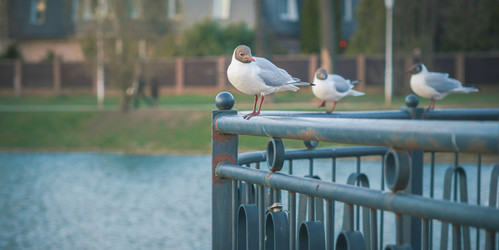 Similar image 21782308