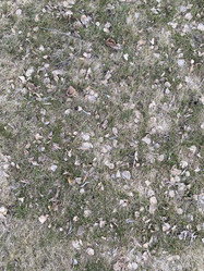 Similar image 21778740