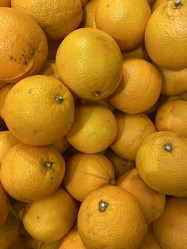 Similar image 21778741