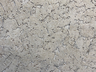 Similar image 21778746