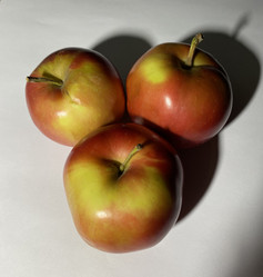 Similar image 21778753