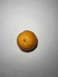 Similar image 21778771