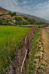 Similar image 21785905