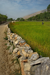 Similar image 21785906