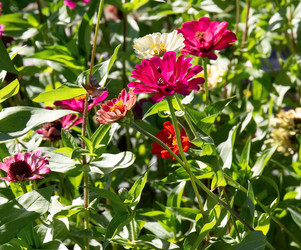 Similar image 21779499