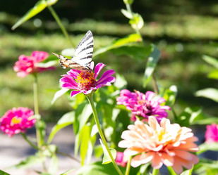 Similar image 21779503