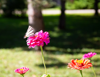 Similar image 21779507