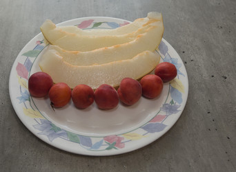 Similar image 21779508