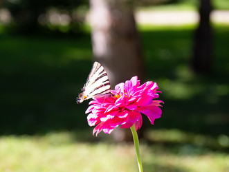 Similar image 21779509