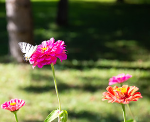 Similar image 21779511