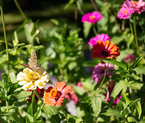 Similar image 21779512