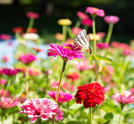 Similar image 21779513