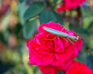 Similar image 21779516