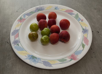 Similar image 21779520