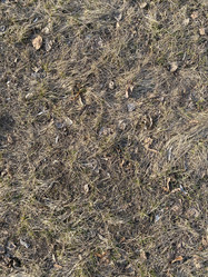 Similar image 21778824