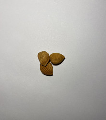 Similar image 21778827