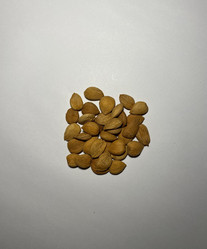 Similar image 21778828