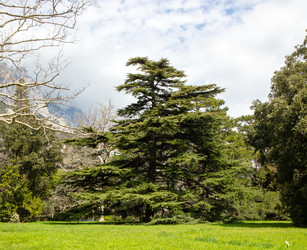 Similar image 21779337