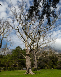 Similar image 21779338