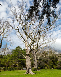 Similar image 21779339