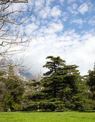 Similar image 21779340