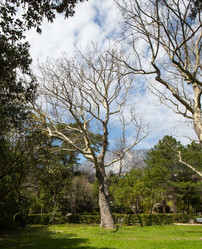 Similar image 21779341