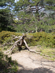 Similar image 21779342