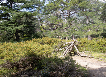 Similar image 21779344