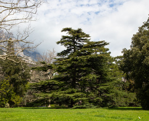 Similar image 21779345