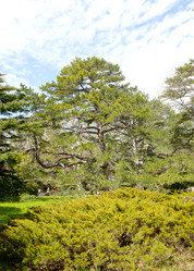 Similar image 21779346