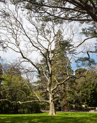 Similar image 21779347